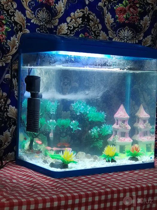 Akvarium sotiladi 30 litrli koplekt sotiladi baliqdan tawqari