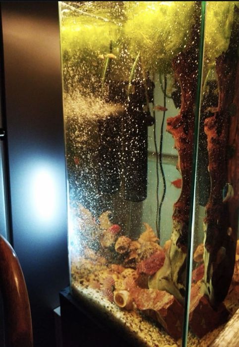 Аквариум обьем 100 литров