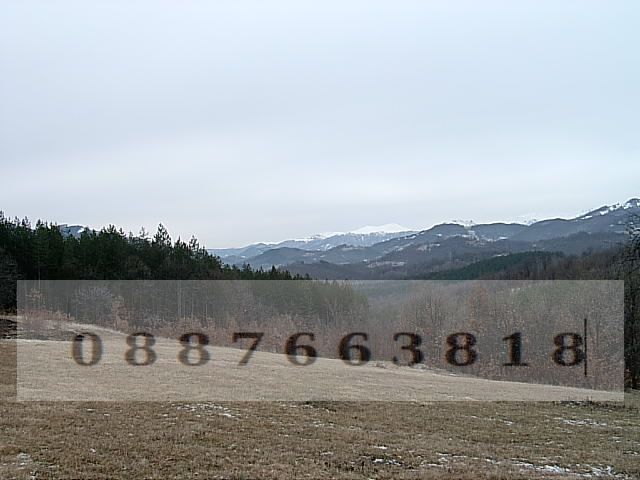 Продава се Парцел в с. Драшкова поляна, Област Ловеч - 4500 кв.м за 6 €/кв.м - Снимка #5