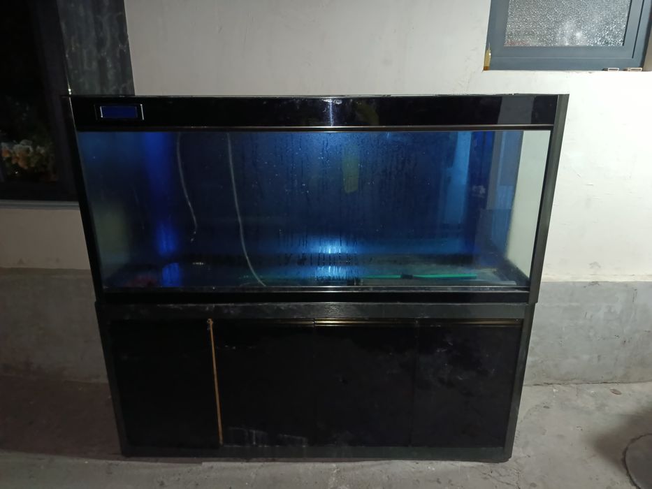 Аквариум sotiladi