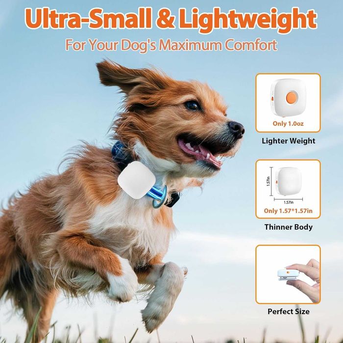 Устройство за обучение на кучета без шок с дистанционно, хуманно