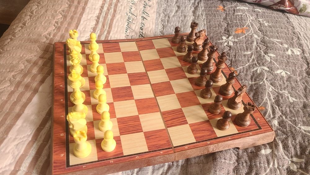 Магнитные шахматы