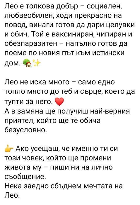 Подарява се бебе Лео