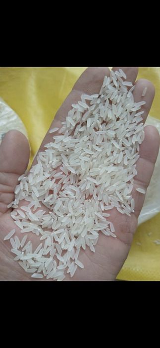 Күріш Харазем лазер