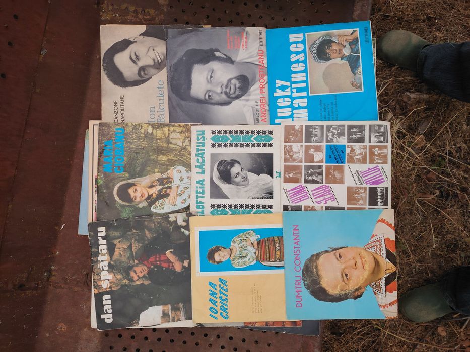 Discuri vinil mari și mici