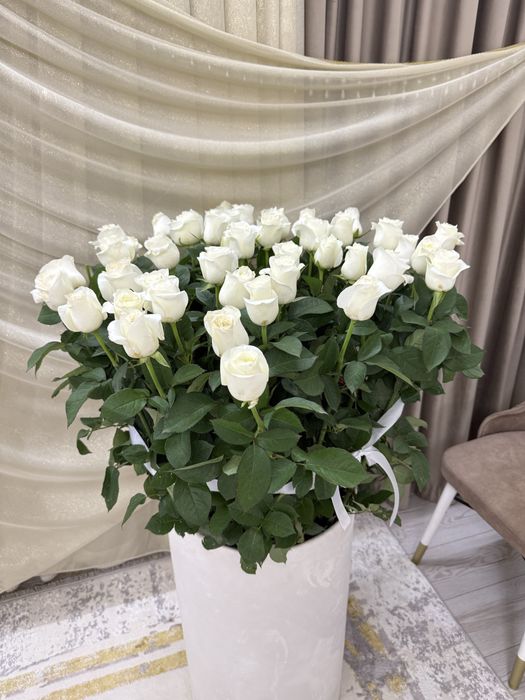 51 роза голландские