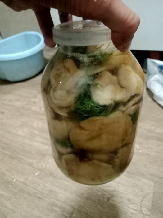 Грибы грузди маринованные