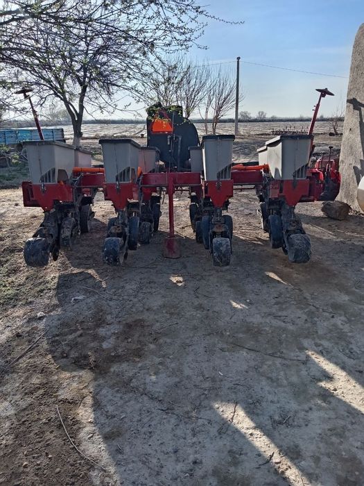 Taktoga pulg Chizil selkasi ham bor