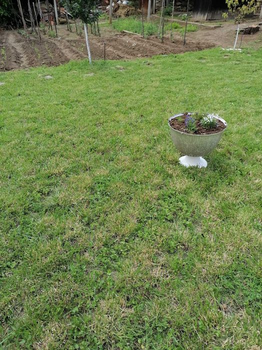 Продава се Къща в Ловеч, Гозница - 100 кв.м за 332 €/кв.м - Снимка #11