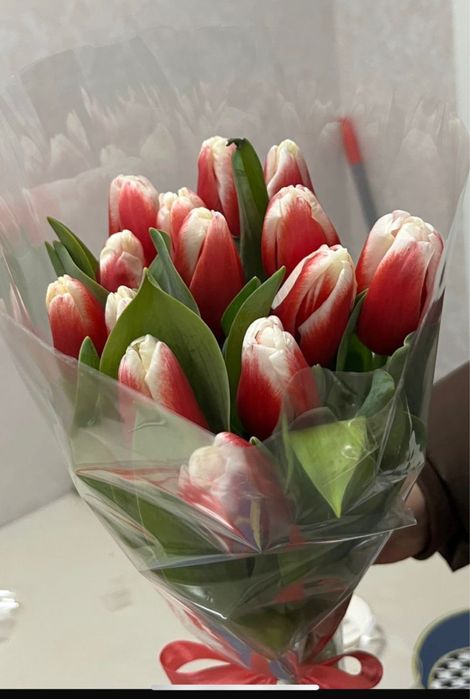 Премиальные тюльпаны