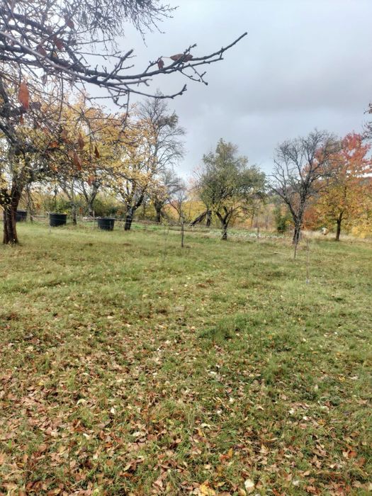 Vând casă cu teren