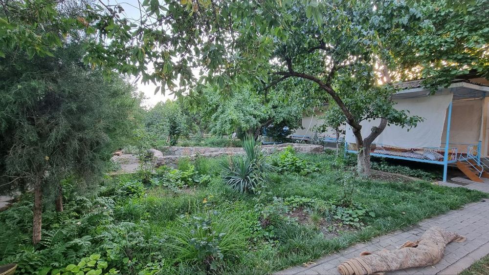 Срочно сотилади дача коробку да дамбани ёнида