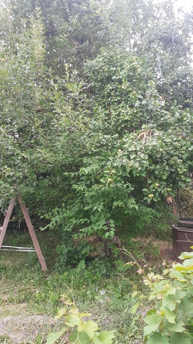 Ұй сатылады посёлок.  Қырбалтабай