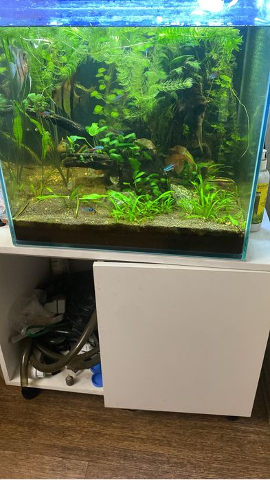 Аквариум 125 литров