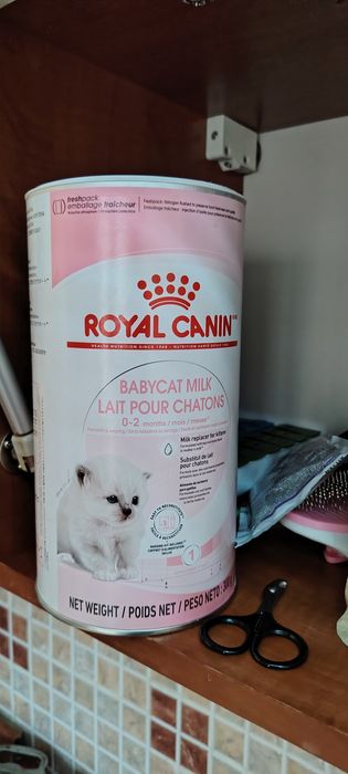 Молоко для котят премиум класс