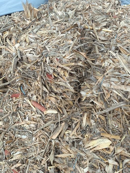 Vând baloți paie și ciocani