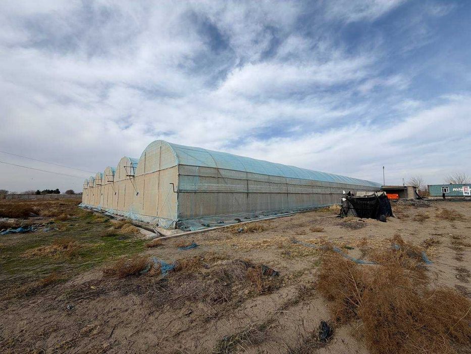 Parnik, teplisa, issiq’xona, Termiz Uchqizil