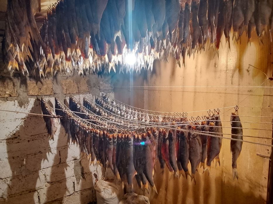 Атырауский Рыбец, Вобла сушёная,малосольная