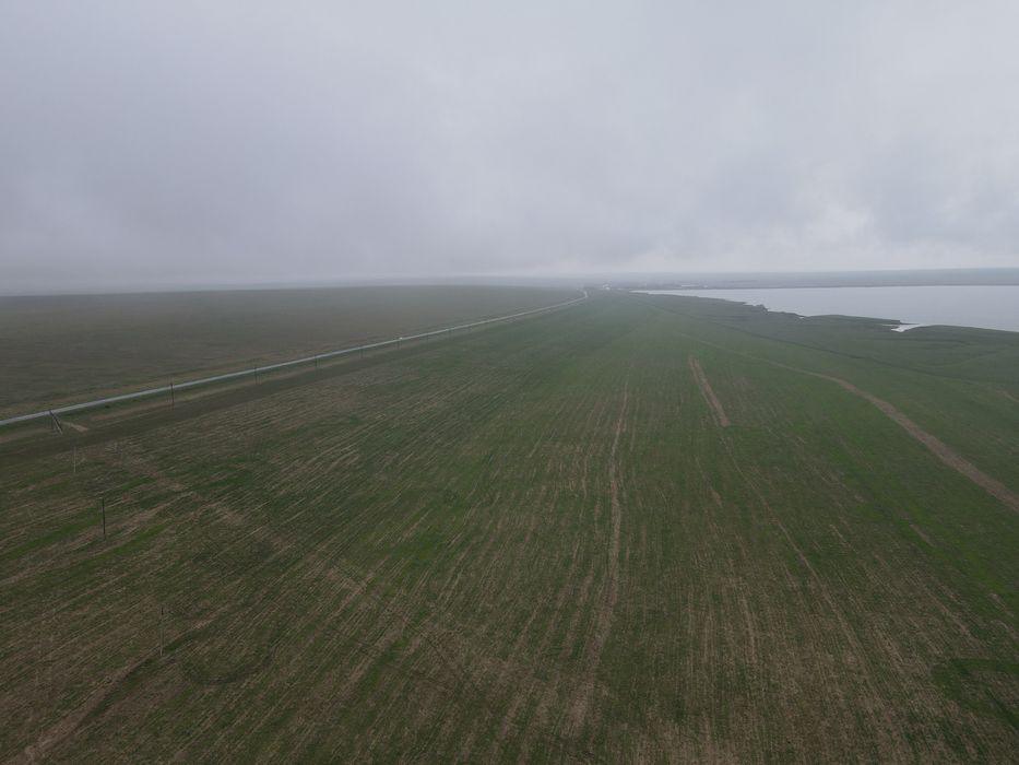 Дайын Қора 800-га жер телімі сатылады