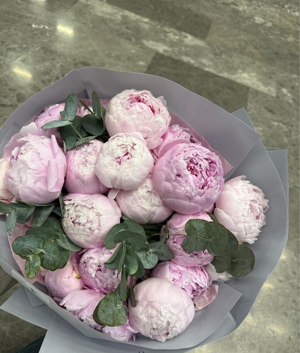 Пионы за 25тыс:)