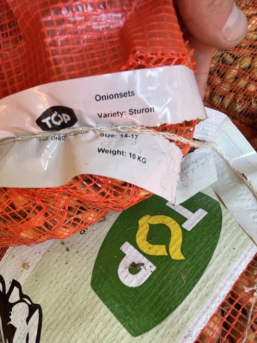 Арпаджик лук Стурон и Щутгартен Ризен – качествен посадъчен материал