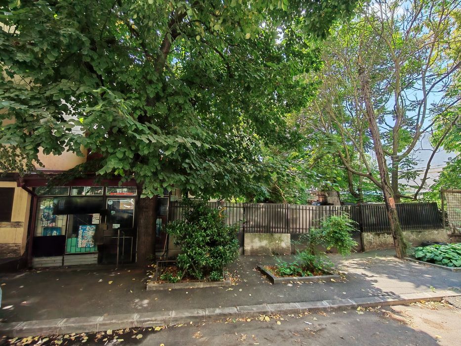 Brâncoveanu, parc, Curte de 382 m, fata de 12 m  cu doua case ,langa Orășelul Copiilor, Str Pomârla 13-15