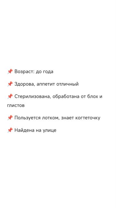 Кошечка с апельсиновыми глазами ищет дом