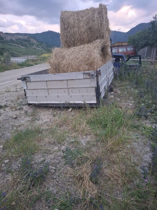 Vand bena fixa si punte fata iveco