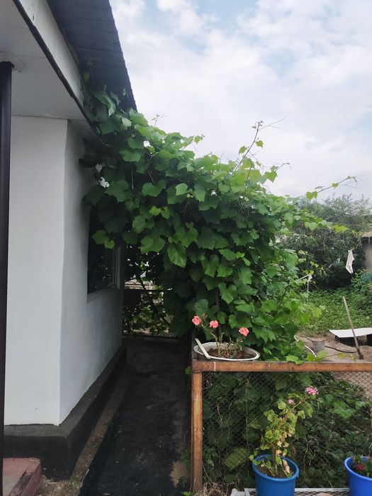 Продам благоустроенный дом