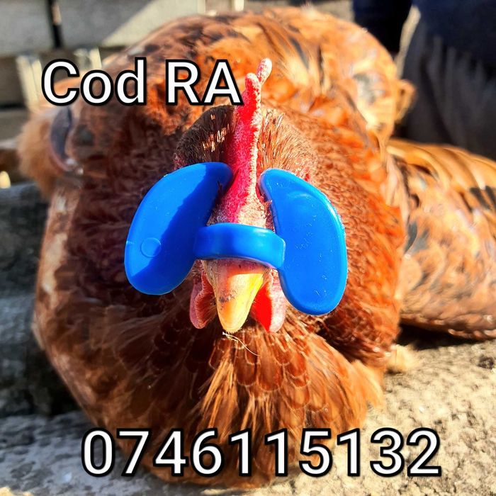 RA - Ochelari Gaini Fazani Pauni Cocosi Pasari-FARA STRAPUNGERE NAZALA