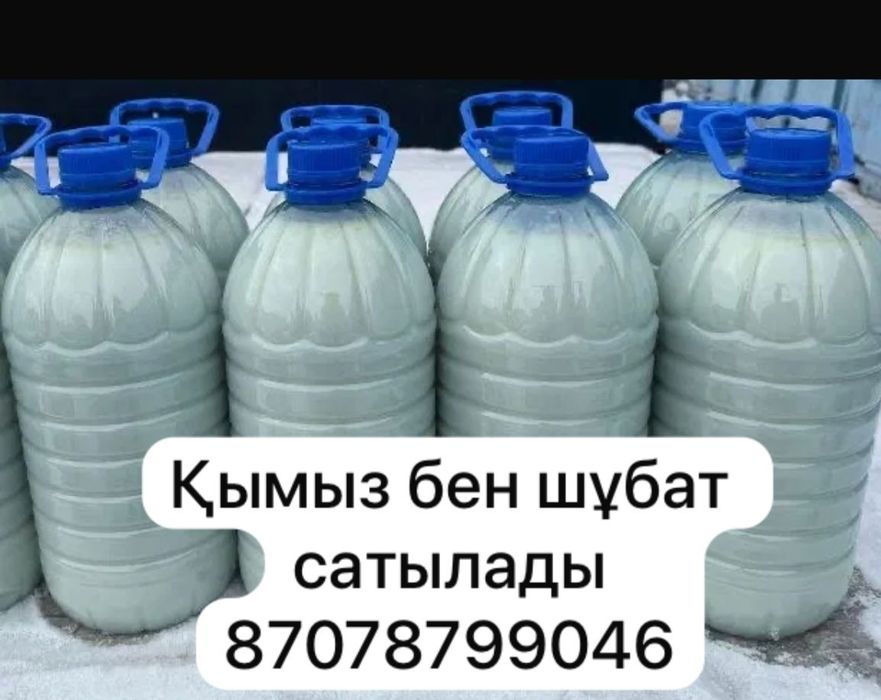 Шубат Кымыз сатилады