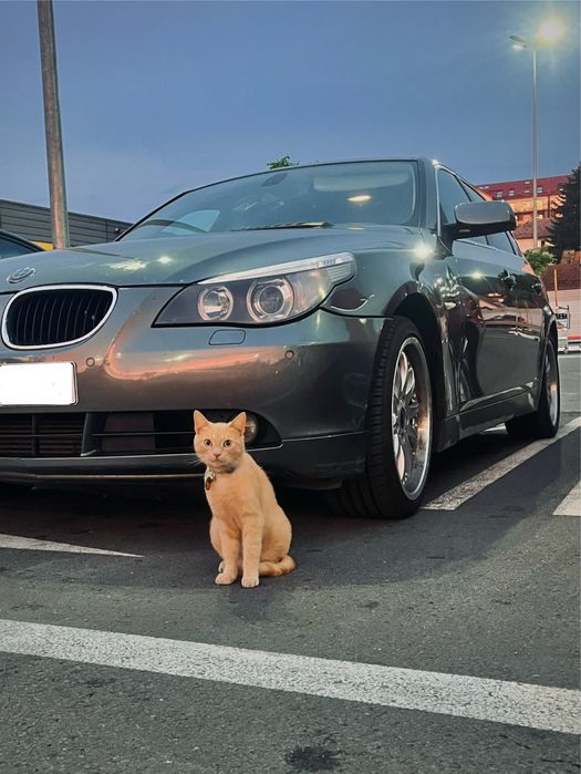 BMW seria 5 E60 163 cp