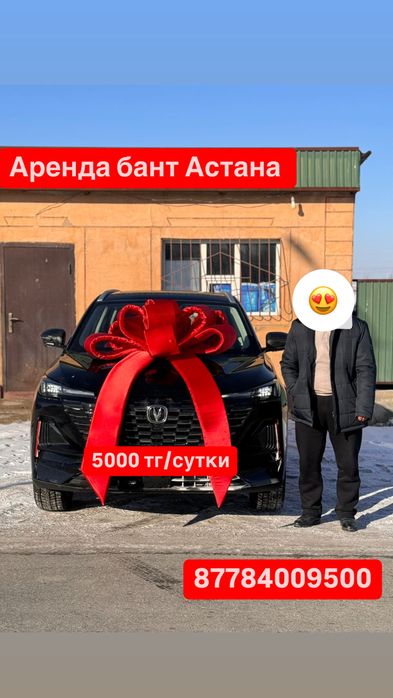 Аренда прокат продажа  бант для машины бантик лента