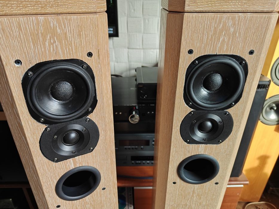 T+A  pulsar tas 1200e ( schimb) boxe podea , super sunet