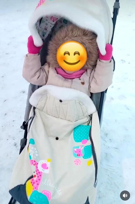 Санки-коляска полная комплектация