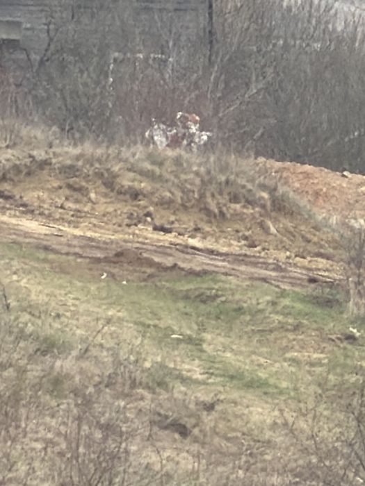 Primesc pamant pentru umplutura