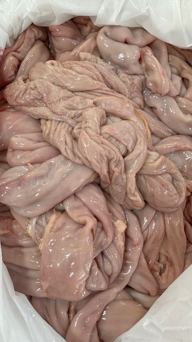 Мясо кишки конины жеребенка