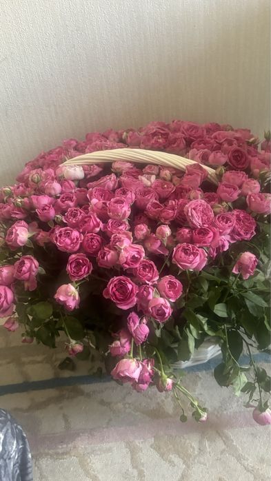 51ветка кустовые роза