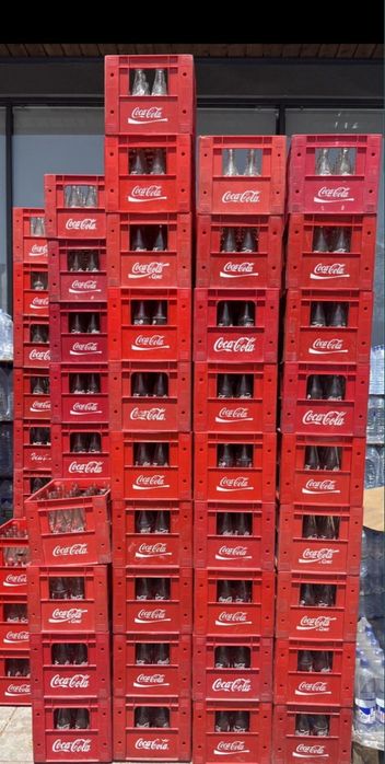 Кола тара, Tara cola