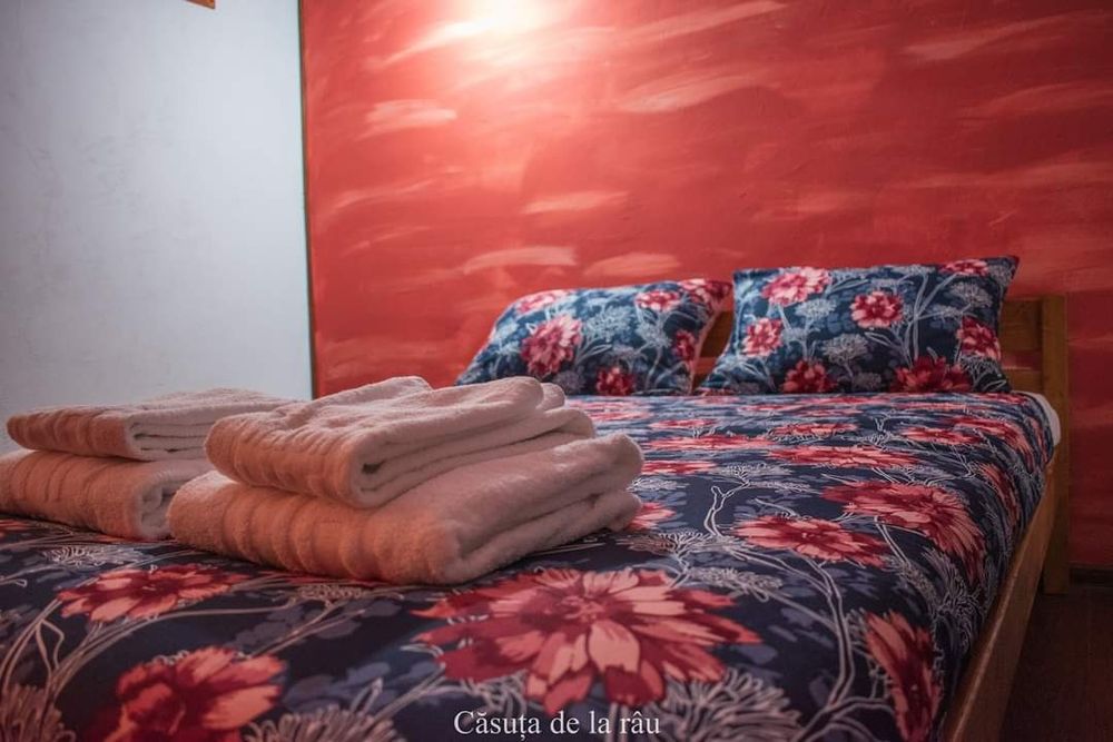 Închiriez Cabană 800 Ron/ exlus revelion