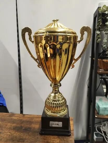 Cupă C920 Or 40cm - BENJAMIN - produs resigilat Decathlon