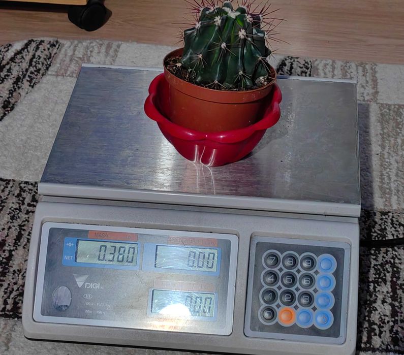 Vand cantar comercial/ bascula electronica