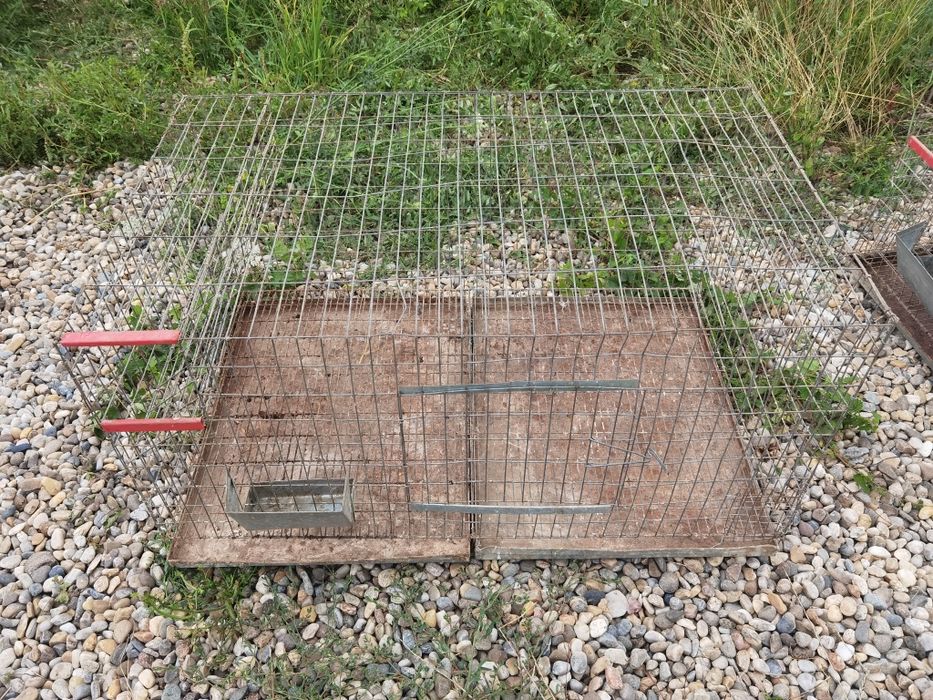 Cușcă iepuri, 4 buc 100x60x50