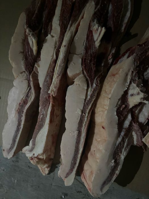 Согым , соғым сатамын . Петерфельд.