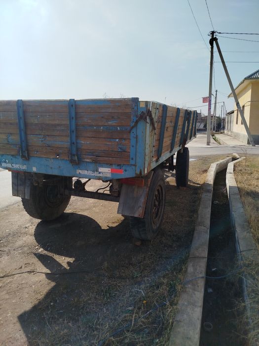 Prsep bartavoy sotiladi.