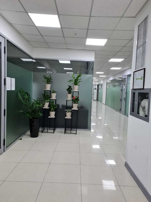 Сдается в аренду современные офисные помещения (136 м2, 125 м2)