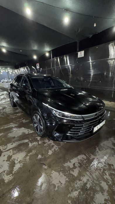 BYD chazor full flagship