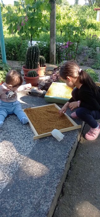 Натурален пчелен мед