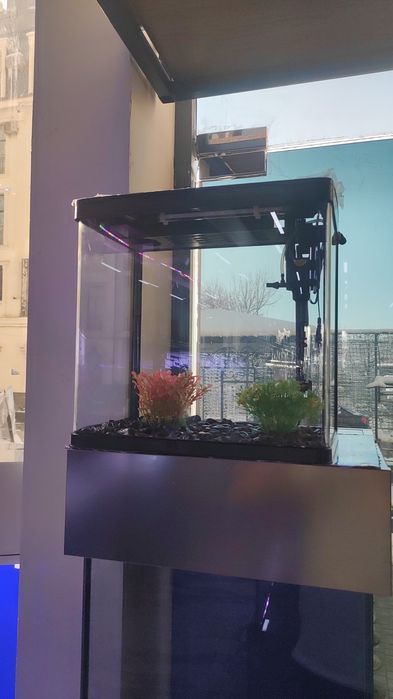 Akvarum va baliq magazin