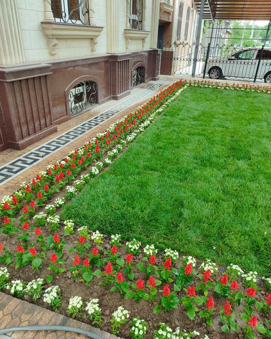 Gazon ruloniviy poliv sistema avtomatik va ruchnoy lanshaft dizayn